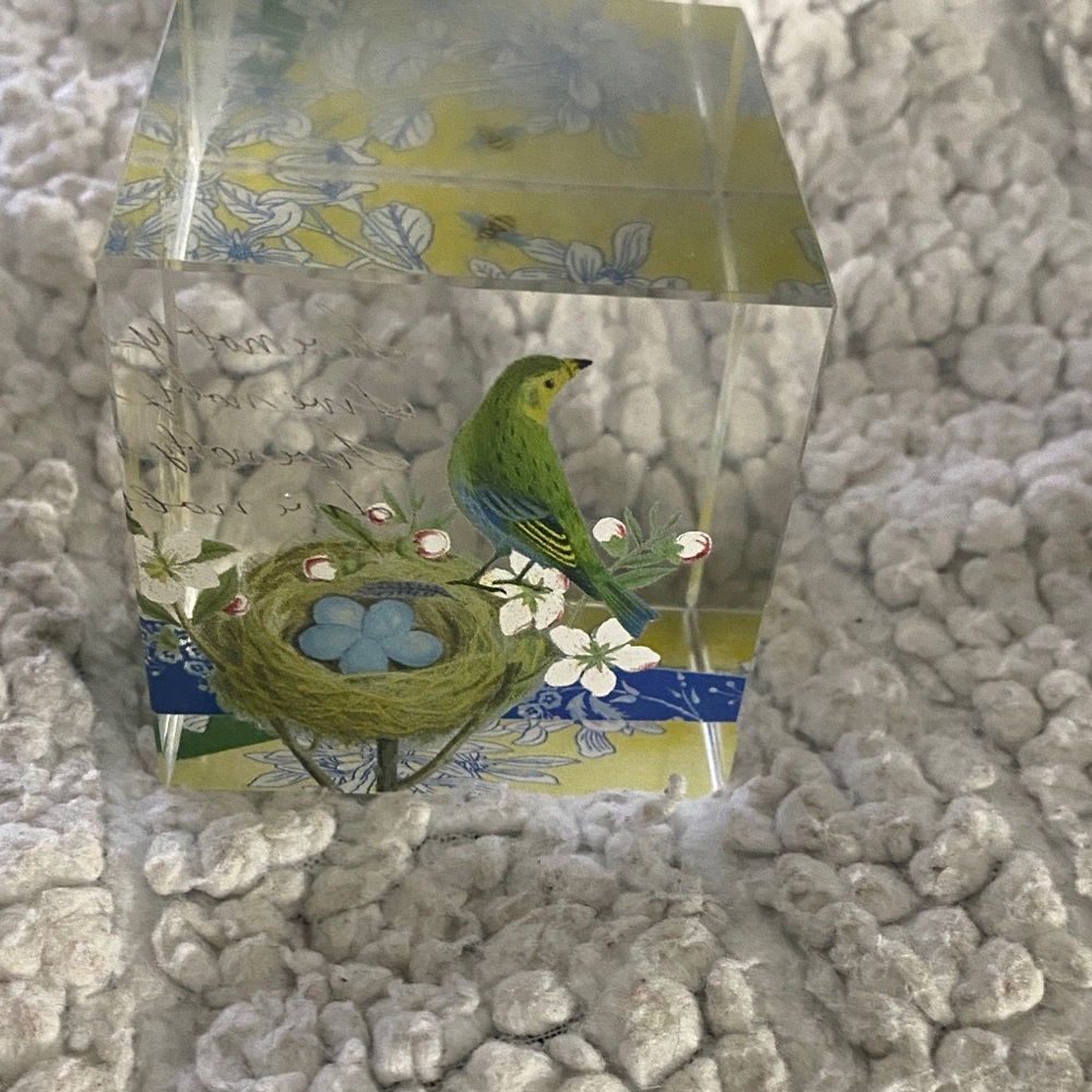 Finch Bird Art Glass Paperweight by
Fringe Studios Nest w/Eggs.